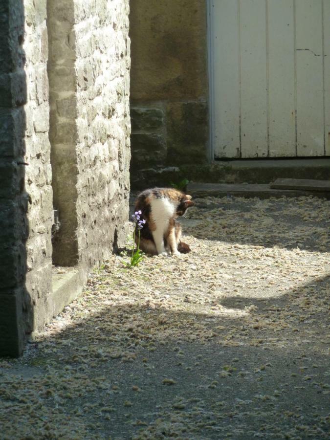 The Old Vicarage B&B Tideswell Exterior photo